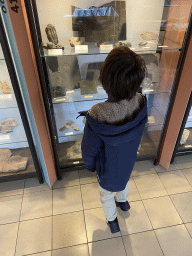 Max looking at fossils at the Lower Floor of the Museum building of the Oertijdmuseum