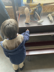 Max looking at a dinosaur animatronic in the hallway from the Museum building to the Dinohal building of the Oertijdmuseum