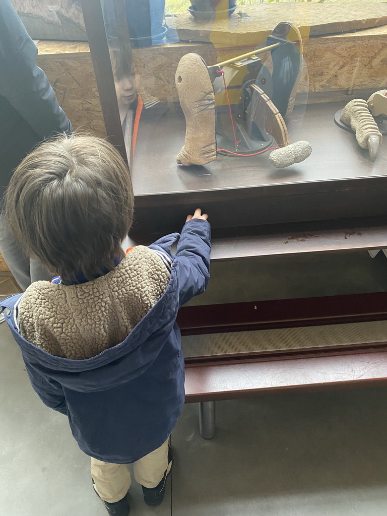 Max looking at a dinosaur animatronic in the hallway from the Museum building to the Dinohal building of the Oertijdmuseum