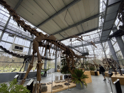 Interior of the Lower Floor of the Dinohal building of the Oertijdmuseum