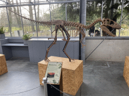 Betasuchus skeleton at the Lower Floor of the Dinohal building of the Oertijdmuseum, with explanation