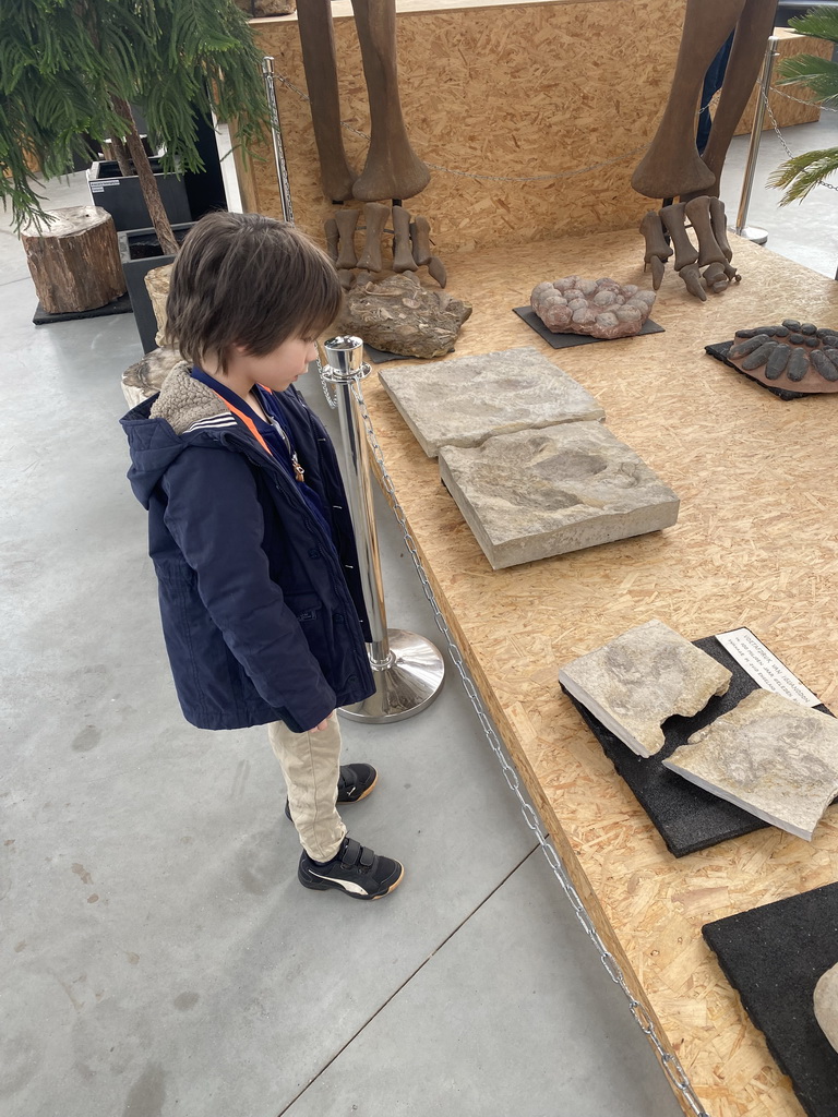 Max looking at footprints of dinosaurs at the Lower Floor of the Dinohal building of the Oertijdmuseum