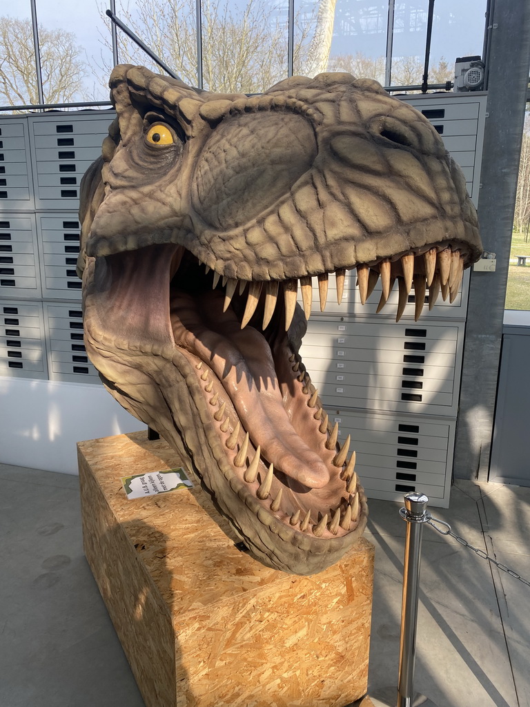 Statue of the head of a Tyrannosaurus Rex at the Lower Floor of the Dinohal building of the Oertijdmuseum