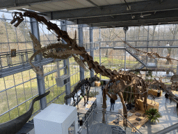 Interior of the Lower Floor of the Dinohal building of the Oertijdmuseum, viewed from the Upper Floor