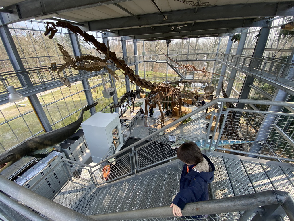 Max at the staircase from the Upper Floor to the Middle Floor of the Dinohal building of the Oertijdmuseum, with a view on the interior of the Lower Floor