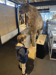 Max with a Chalicotherium statue at the Upper Floor of the Museum Building of the Oertijdmuseum, with explanation