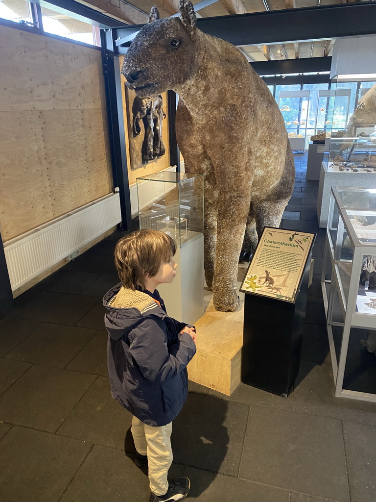Max with a Chalicotherium statue at the Upper Floor of the Museum Building of the Oertijdmuseum, with explanation