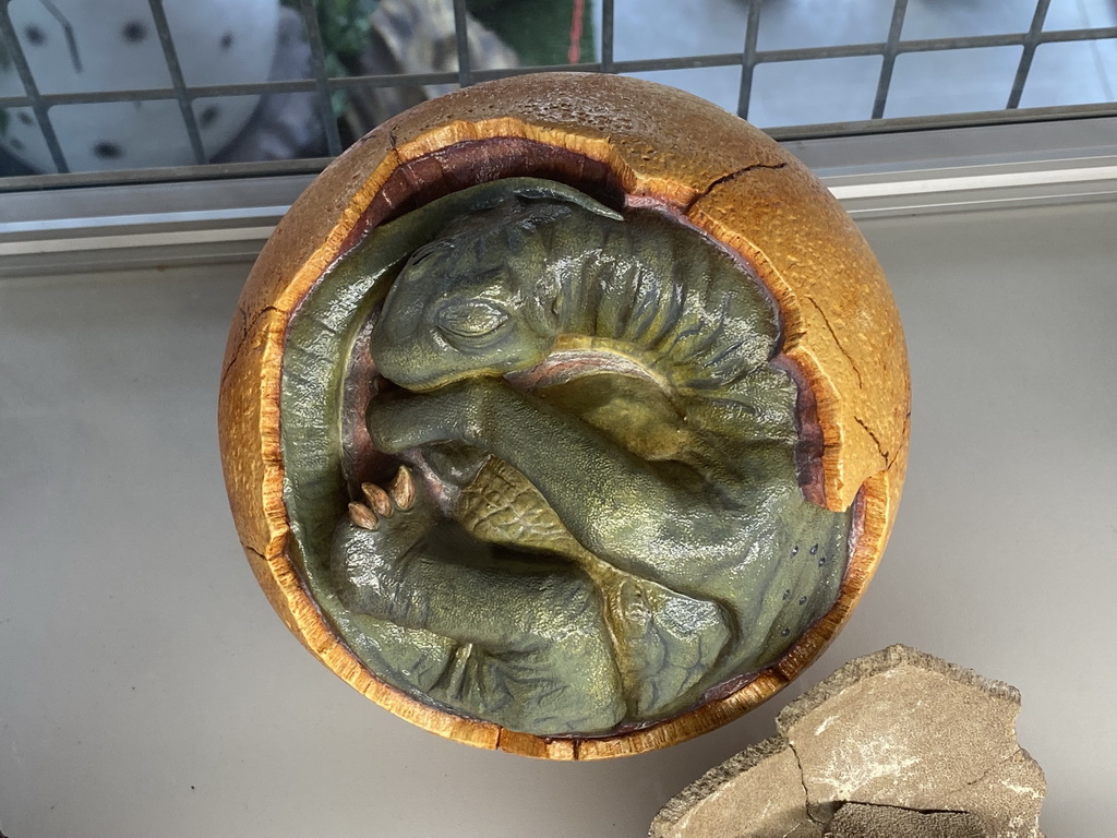 Statuette of a dinosaur in an egg at the Upper Floor of the Museum Building of the Oertijdmuseum