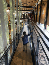 Max at the walkway from the Upper Floor to the Lower Floor at the Museum Building of the Oertijdmuseum