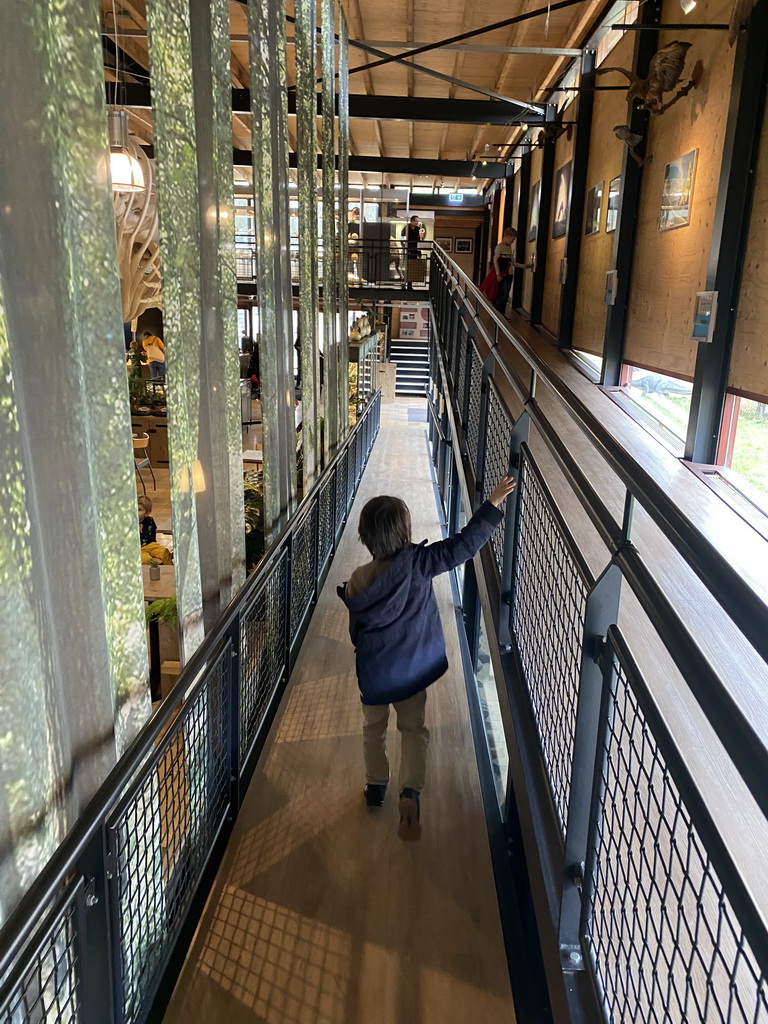 Max at the walkway from the Upper Floor to the Lower Floor at the Museum Building of the Oertijdmuseum