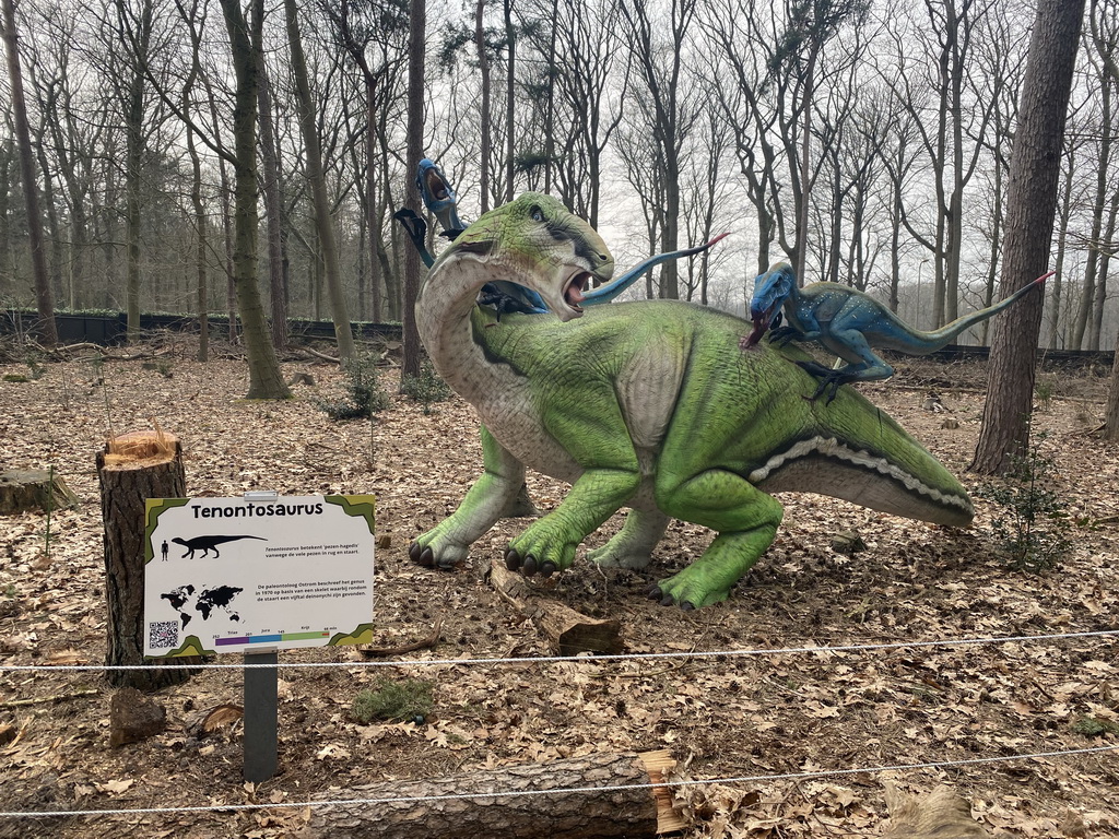 Statue of a Tenontosaurus being attacked by Deinonychuses in the Oertijdwoud forest of the Oertijdmuseum, with explanation