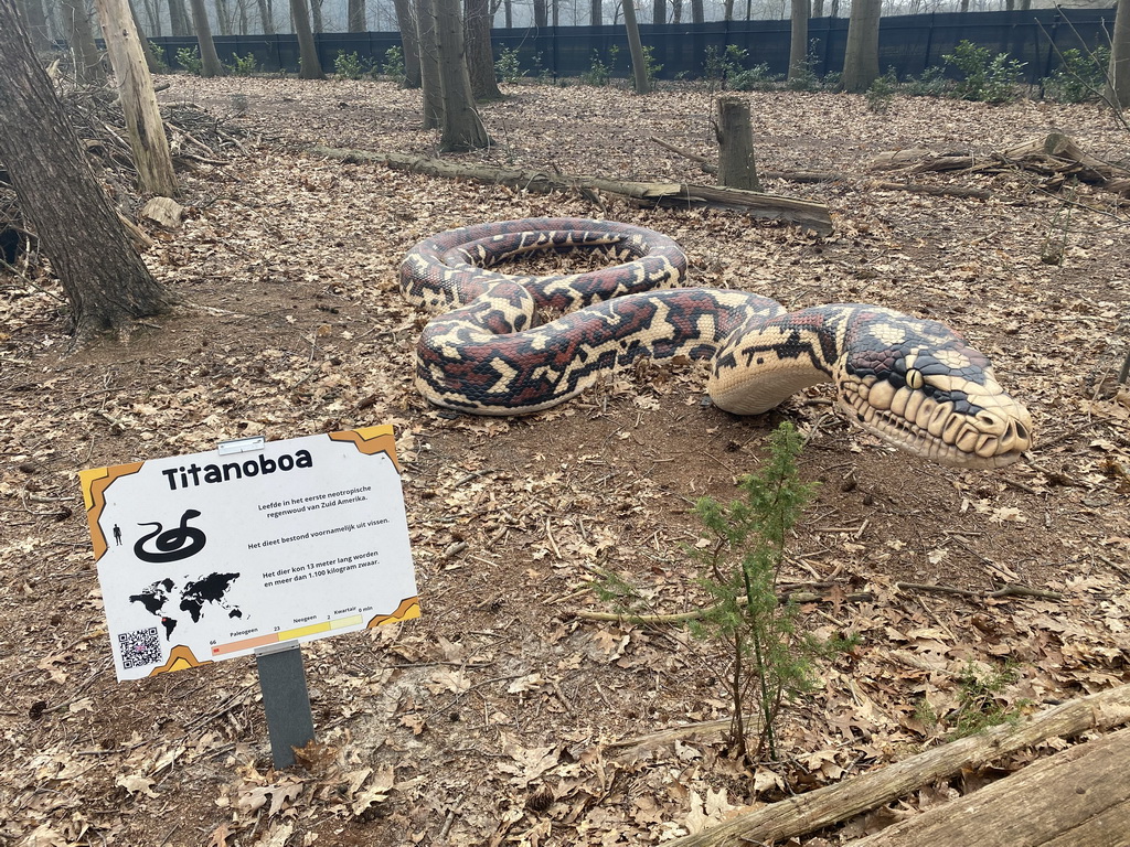 Statue of a Titanoboa in the Oertijdwoud forest of the Oertijdmuseum, with explanation