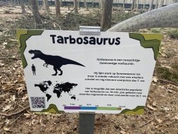 Explanation on the Tarbosaurus in the Oertijdwoud forest of the Oertijdmuseum