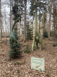 Statues of Europasauruses in the Oertijdwoud forest of the Oertijdmuseum, with explanation