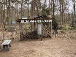 Insect Hotel in the Oertijdwoud forest of the Oertijdmuseum