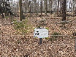 Statues of Hypsilophodons in the Oertijdwoud forest of the Oertijdmuseum, with explanation