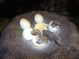 Statues of Maiasura eggs at the Lower Floor of the Museum Building of the Oertijdmuseum