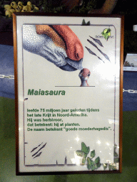 Explanation on the Maiasaura at the Lower Floor of the Museum Building of the Oertijdmuseum