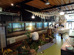 Skeleton of Casper the Sperm Whale and statues of Dinosaurs and Dinosaur eggs at the Lower Floor of the Museum Building of the Oertijdmuseum, viewed from the walkway from the Lower Floor to the Upper Floor