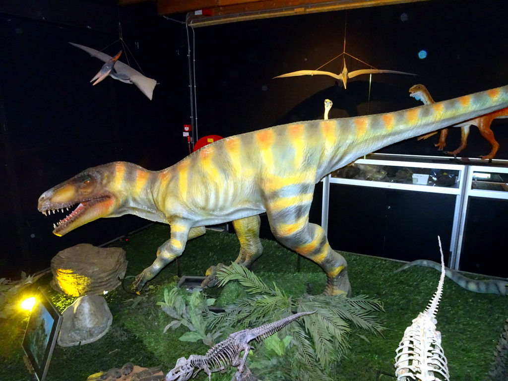 Statues and skeletons of a Herrerasaurus and other Dinosaurs at the Upper Floor of the Museum Building of the Oertijdmuseum