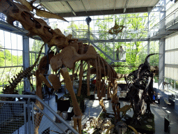 The Dinohal building of the Oertijdmuseum, viewed from the Middle Floor