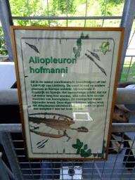 Explanation on the prehistoric sea turtle Allopleuron hofmanni at the Middle Floor of the Dinohal building of the Oertijdmuseum