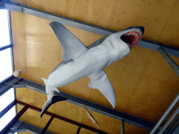 Stuffed Shark hanging on the ceiling of the hallway from the Museum building to the Dinohal building of the Oertijdmuseum