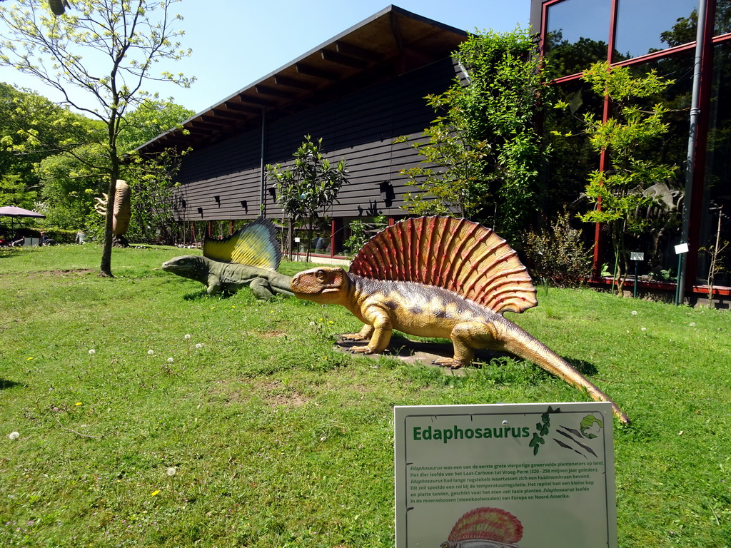 Statues of an Edaphosaurus in front of the Museum building in the Garden of the Oertijdmuseum, with explanation