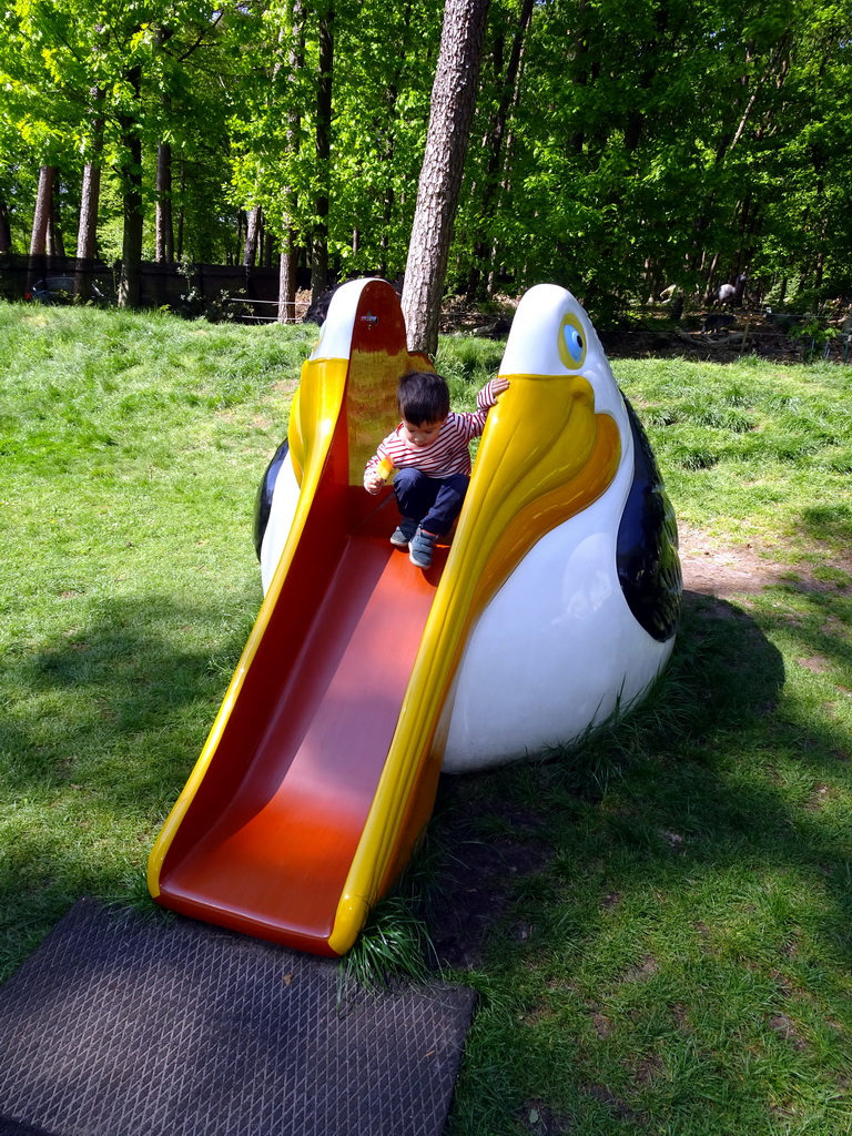 Max on a Pelican slide at the playground in the Oertijdwoud forest of the Oertijdmuseum