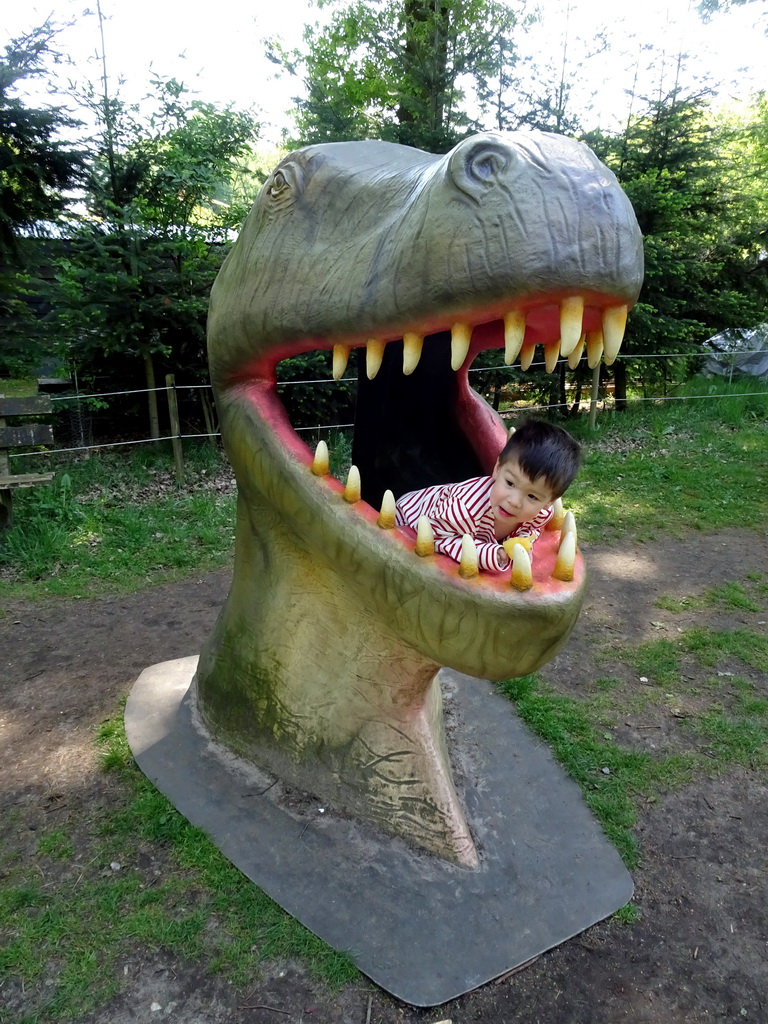 Max in a statue of the head of a Dinosaur at the playground in the Oertijdwoud forest of the Oertijdmuseum