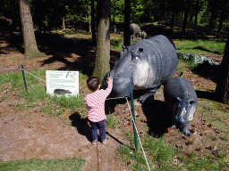 Max with statues of Hippopotamuses in the Oertijdwoud forest of the Oertijdmuseum