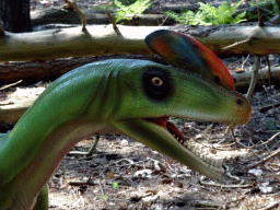 Head of a statue of a Guanlong in the Oertijdwoud forest of the Oertijdmuseum