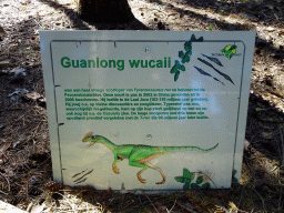 Explanation on the statue of a Guanlong in the Oertijdwoud forest of the Oertijdmuseum