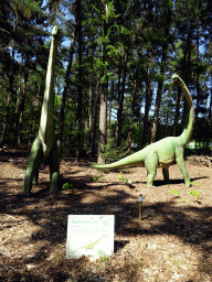 Statues of Europasauruses in the Oertijdwoud forest of the Oertijdmuseum, with explanation