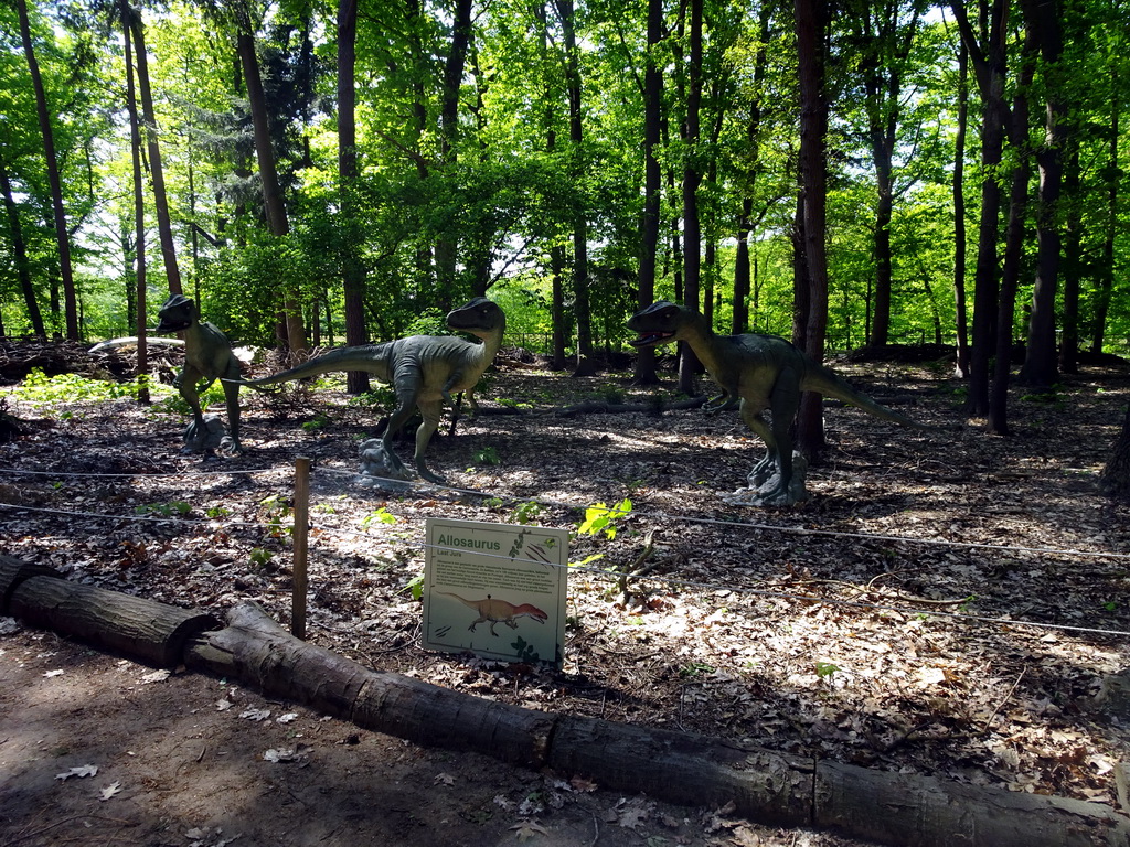 Statues of Allosauruses in the Oertijdwoud forest of the Oertijdmuseum, with explanation