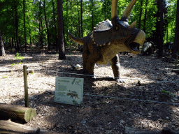 Statue of a Triceratops in the Oertijdwoud forest of the Oertijdmuseum, with explanation