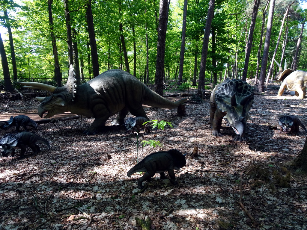 Statues of Triceratopses in the Oertijdwoud forest of the Oertijdmuseum