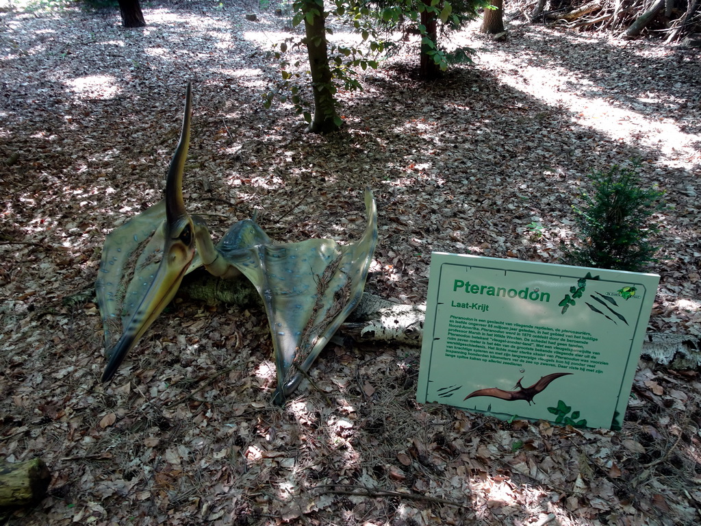 Statue of a Pteranodon in the Oertijdwoud forest of the Oertijdmuseum, with explanation