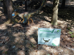Statues of Ornitholestes in the Oertijdwoud forest of the Oertijdmuseum, with explanation