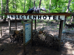 Insect Hotel in the Oertijdwoud forest of the Oertijdmuseum