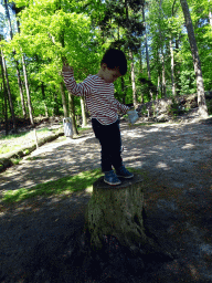 Max on top of a tree trunk in the Oertijdwoud forest of the Oertijdmuseum