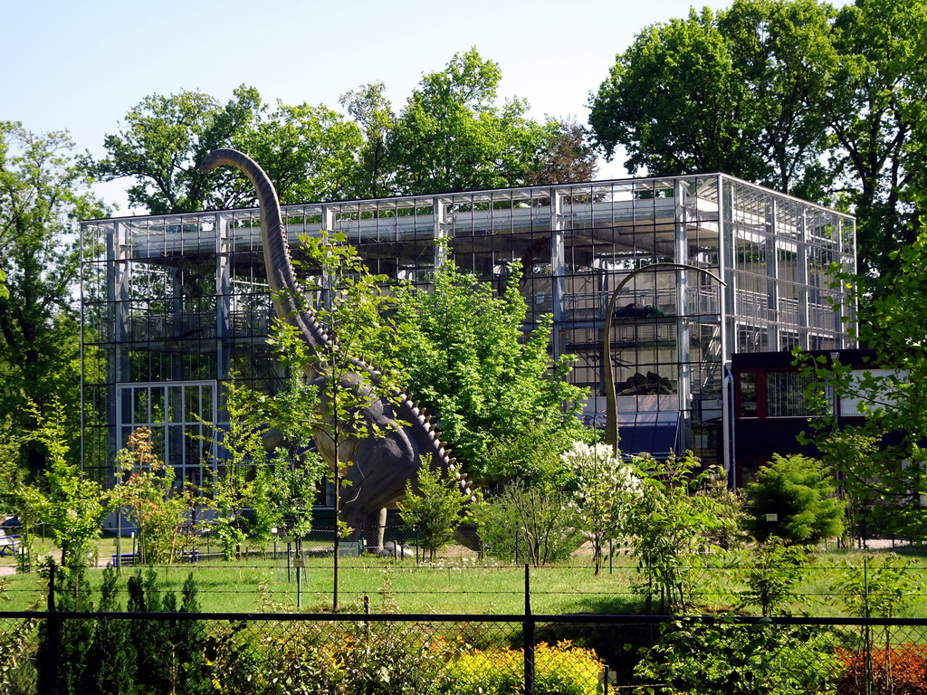 Statue of a Diplodocus in front of the Dinohal building of the Oertijdmuseum, viewed from the Oertijdwoud forest