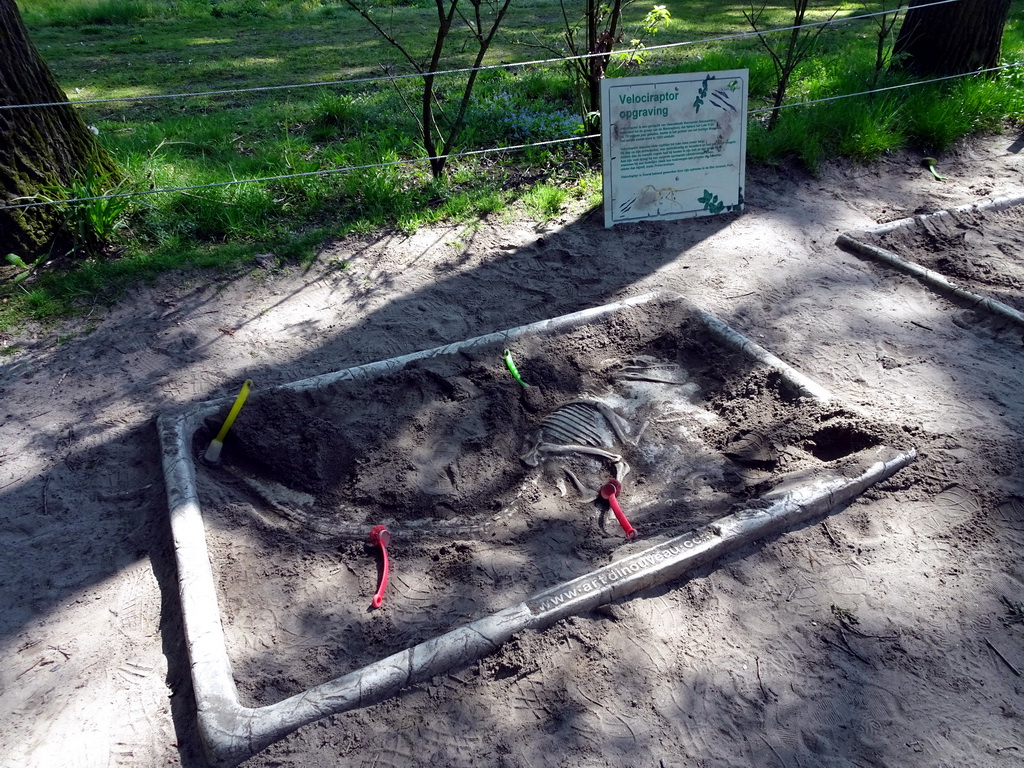 Velociraptor excavation sandboxes in the Oertijdwoud forest of the Oertijdmuseum, with explanation