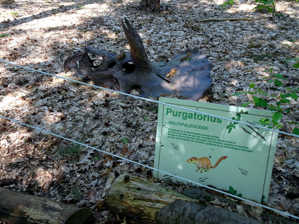 Statues of Purgatoriuses in the Oertijdwoud forest of the Oertijdmuseum, with explanation