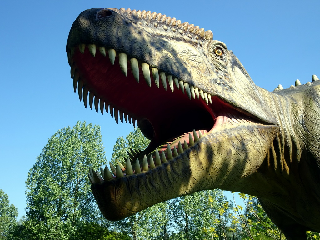 Head of a statue of a Giganotosaurus in the Garden of the Oertijdmuseum