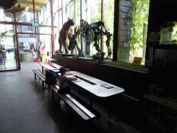 Max playing with a puzzle in the hallway from the Dinohal building to the Museum building of the Oertijdmuseum