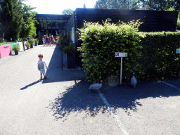 Max at the entrance to the Oertijdmuseum at the Bosscheweg street