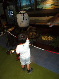 Max with a dinosaur toy and a statue of a dinosaur in an egg at the Lower Floor of the Museum Building of the Oertijdmuseum