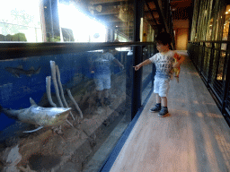 Max with a stuffed Shark at the walkway from the Lower Floor to the Upper Floor at the Museum Building of the Oertijdmuseum