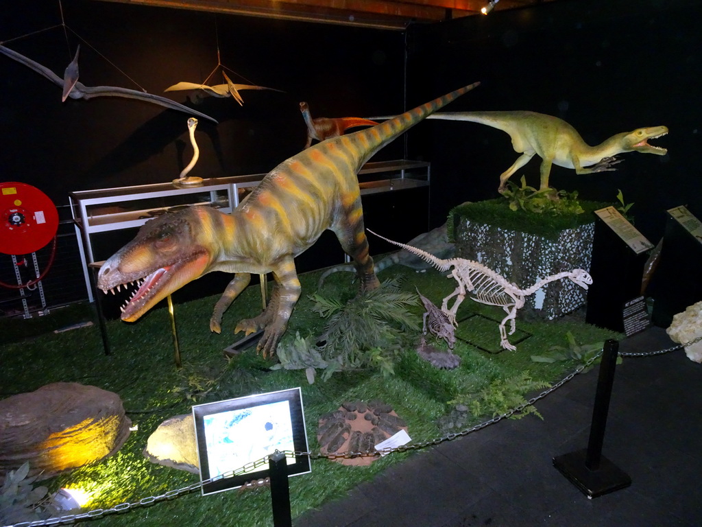 Statues and skeletons of a Herrerasaurus and other Dinosaurs at the Upper Floor of the Museum Building of the Oertijdmuseum